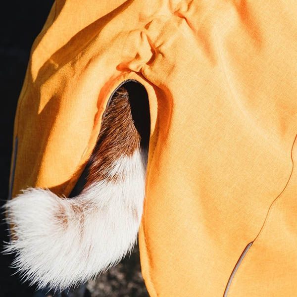 parka3