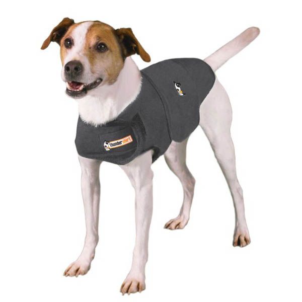 thundershirtweb