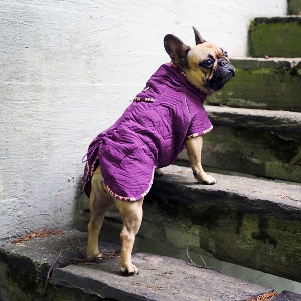 chaqueta casual morado 2