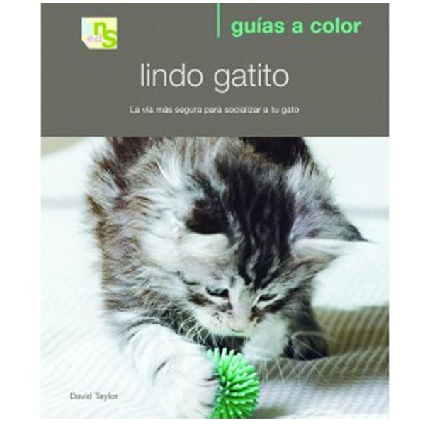 lindogatito
