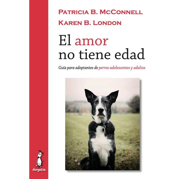 el-amor-no-tiene-edad