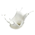 kefir