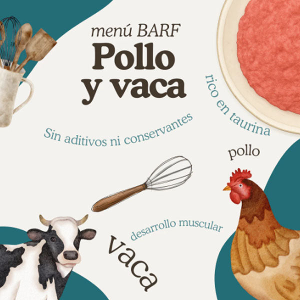 pollo vaca barf2