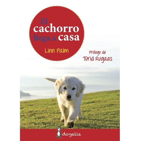 elcachorroweb