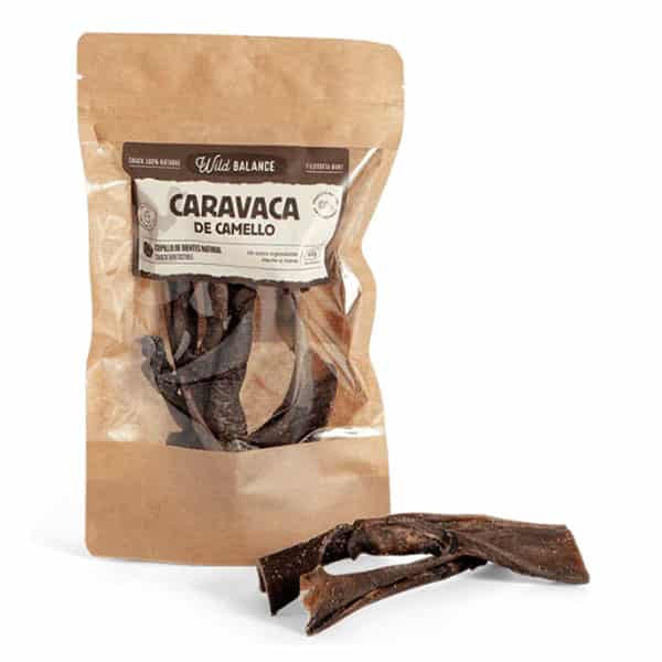 caravaca de camello