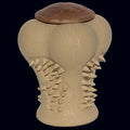 treat bone1