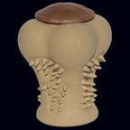 treat bone1
