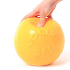 pelota5