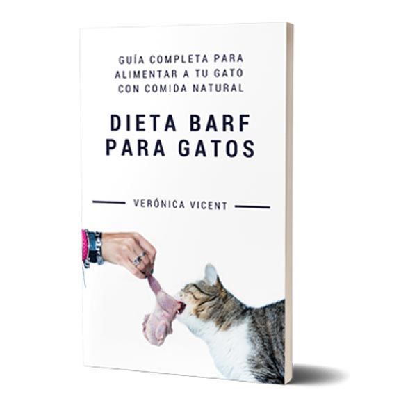 librogatoweb